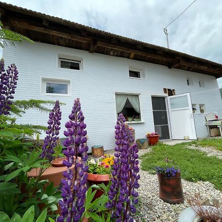 Casa De Oaspeti Cristina Fitod Экстерьер фото