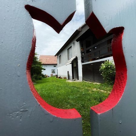 Casa De Oaspeti Cristina Fitod Экстерьер фото