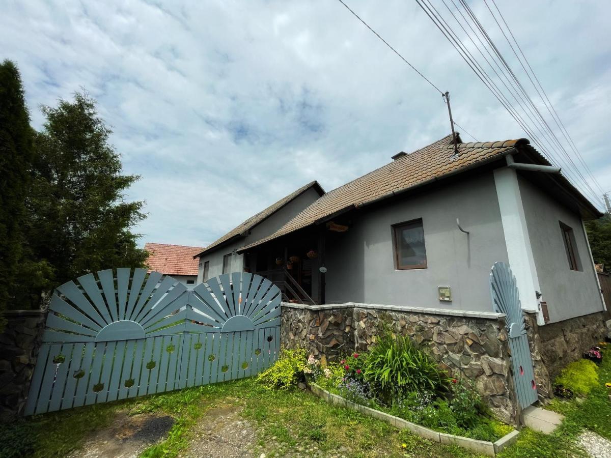 Casa De Oaspeti Cristina Fitod Экстерьер фото