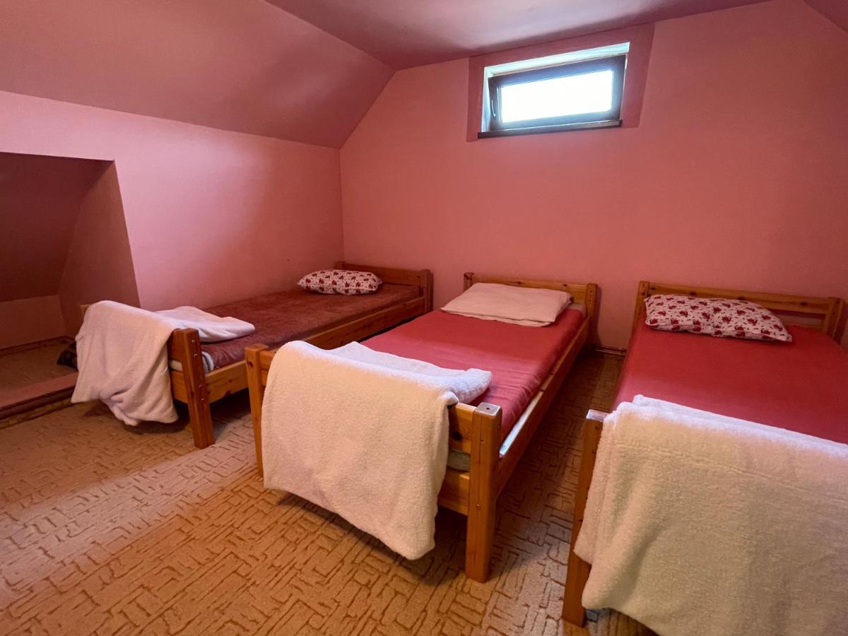 Casa De Oaspeti Cristina Fitod Экстерьер фото
