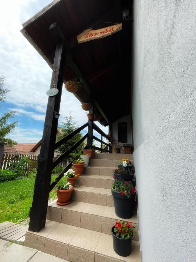 Casa De Oaspeti Cristina Fitod Экстерьер фото