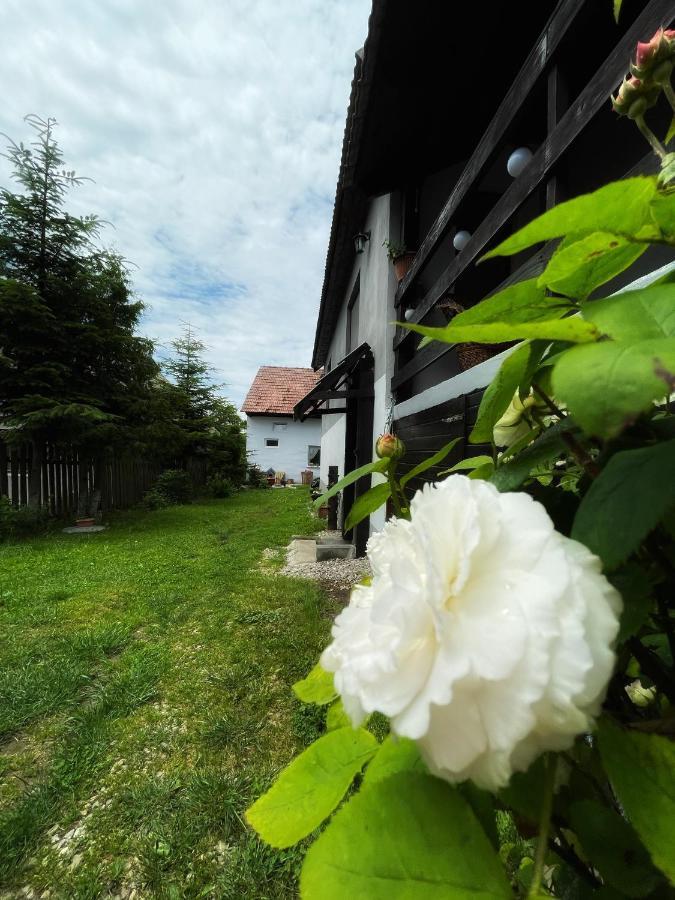 Casa De Oaspeti Cristina Fitod Экстерьер фото