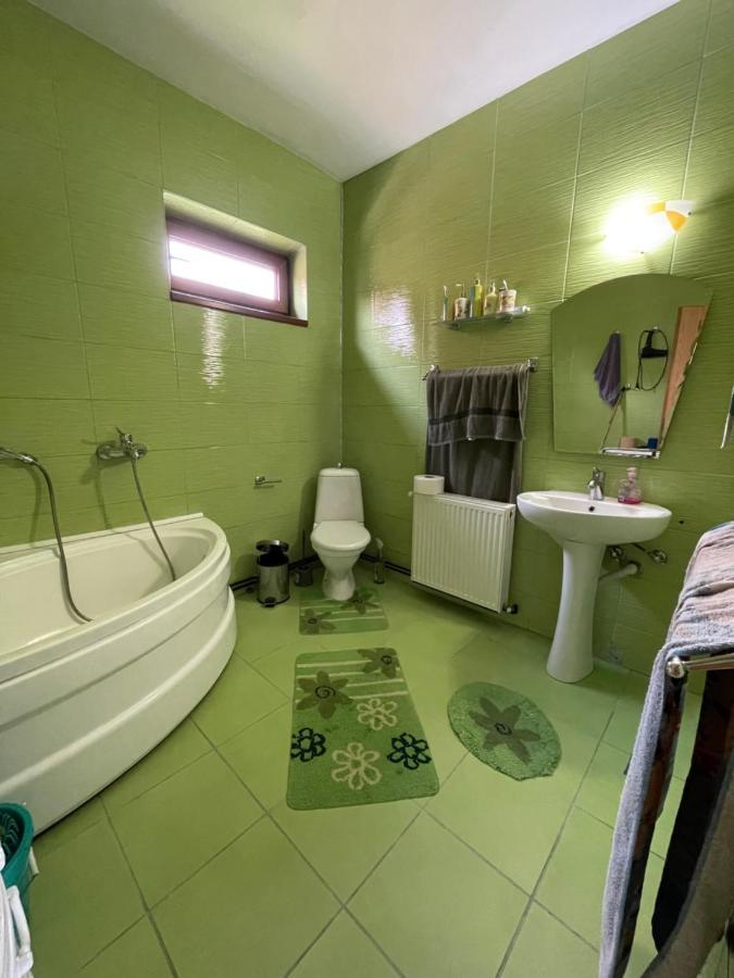 Casa De Oaspeti Cristina Fitod Экстерьер фото